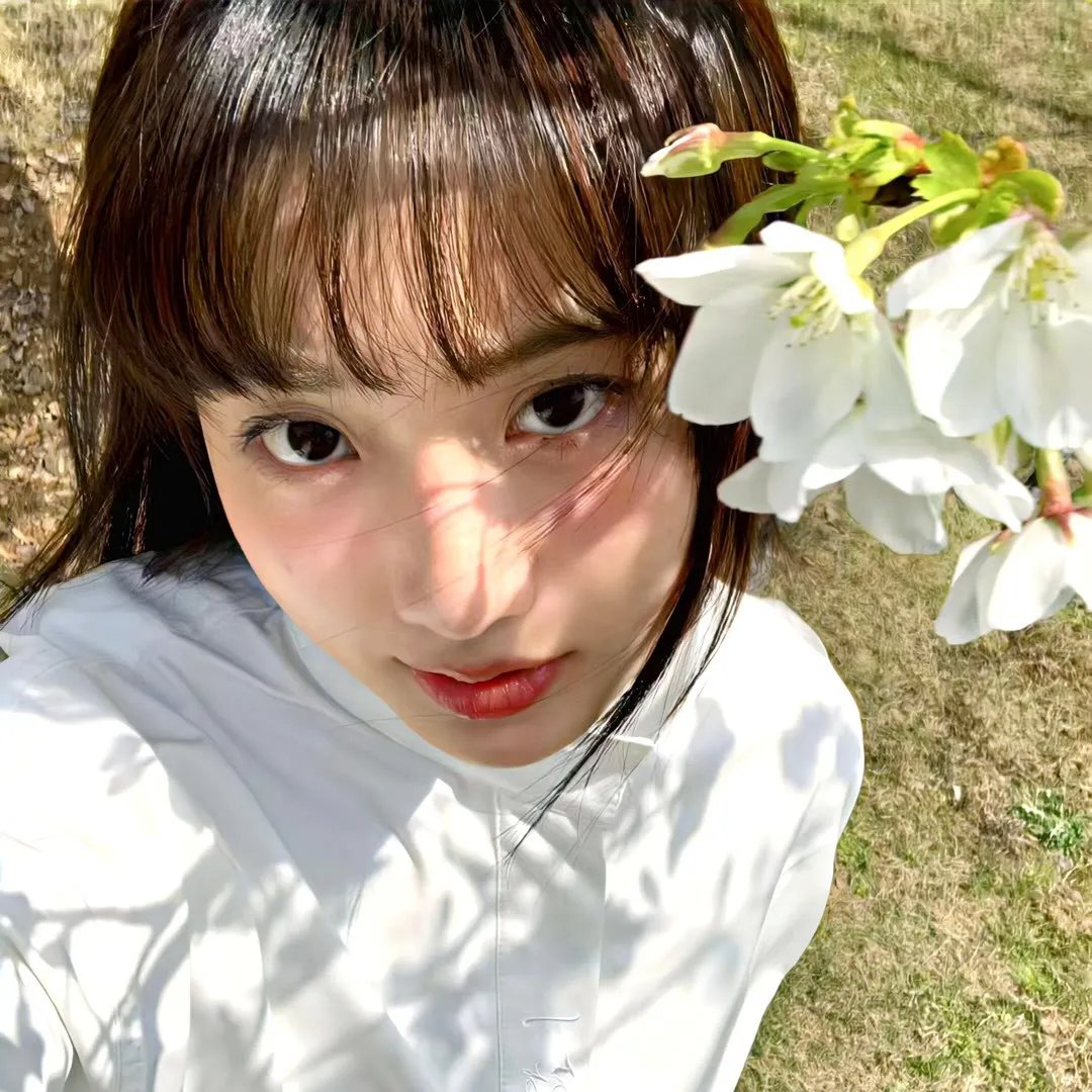 燕尾蝶